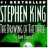 Stephen King, Dark Tower